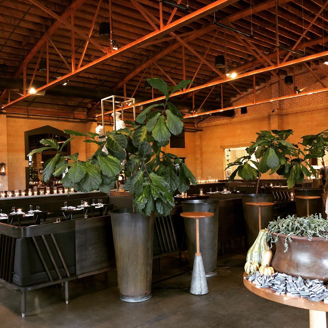 44930152_2128654100730246_6007363932212166656_o