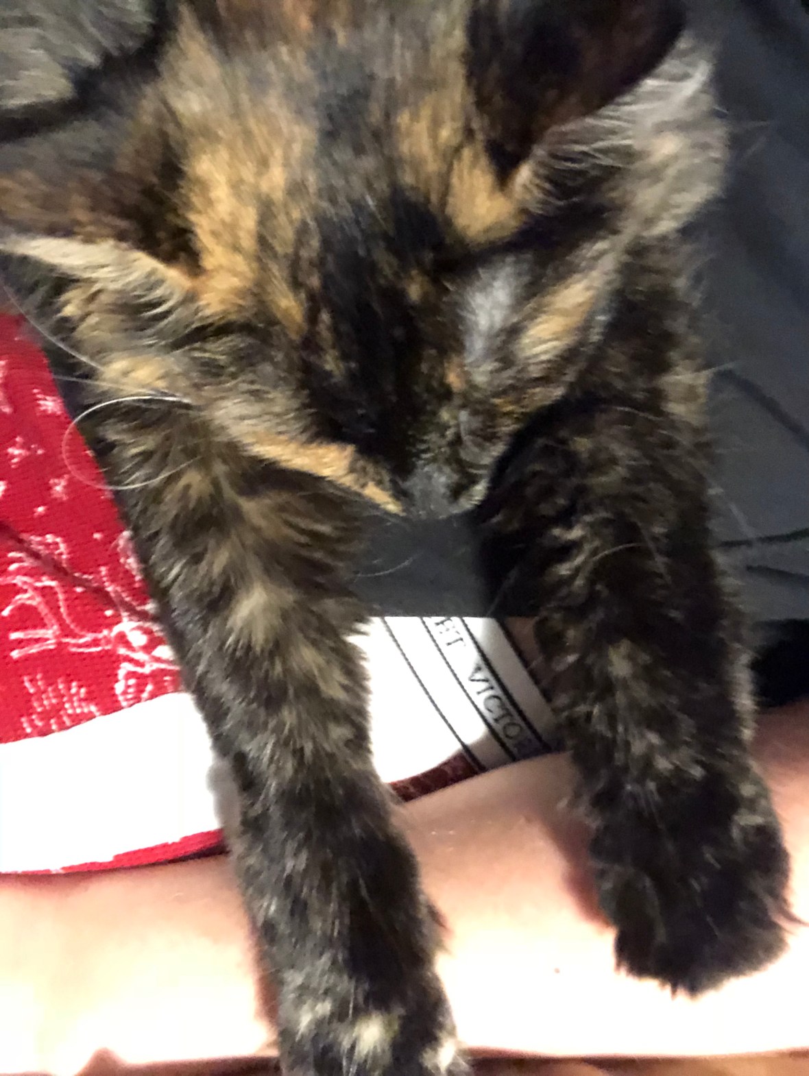 sfvx%3sks6q%ldnedxiaka